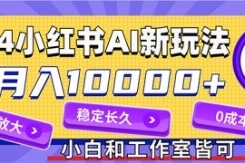 每天（12083期）2024最新小红薯AI赛道，蓝海项目，月入10000+，0成本，当事业来做，可矩阵便宜08月10日中创网VIP项目