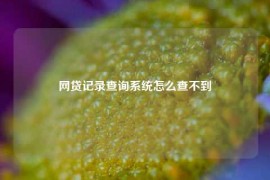 网贷记录查询系统怎么查不到