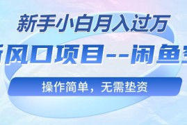 实操无货源项目，最新风口项目---闲鱼空调，新手小白月入过万，操作简单，无需垫资