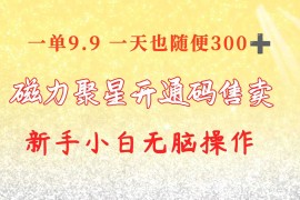 实战热门给力项目项目，快手磁力聚星码信息差 售卖  一单卖9.9  一天也轻松300+ 新手小白无脑操作