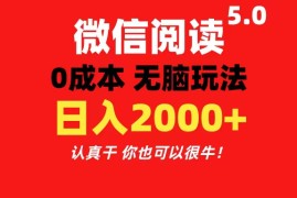 （11216期）微信阅读5.0玩法！！0成本掘金 无任何门槛 有手就行！一天可赚200+，06月23日中创网VIP项目