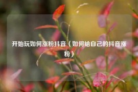 开始玩如何涨粉抖音（如何给自己的抖音涨粉）