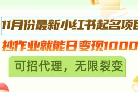 每天（13256期）11月份最新小红书起名项目，抄作业就能日变现1000+，可招代理，无限裂变11-07中创网