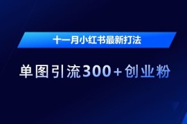 2024最新十一月小红书最新打法，单图引流300+创业粉【揭秘】11-15冒泡网