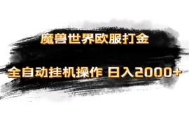 每日（11407期）魔兽世界欧服最新玩法，单机日入1000+，矩阵操作，多开多得，07月03日中创网VIP项目