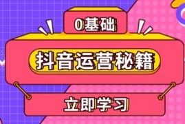 抖音运营秘籍，内容定位，打造个人IP，提升变现能力加抖音号运营