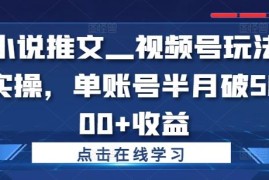 热门项目小说推文—视频号玩法实操，单账号半月破5000+收益09-30冒泡网