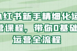 实战小红书新手精细化运营课程，带你0基础运营全流程，07月04日冒泡网VIP项目