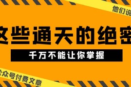 最新公众号项目，某公众号付费文章《他们说 “ 这些通天的绝密，千万不能让你掌握! ”》