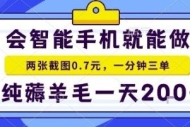 手机项目，二十秒一单，纯薅羊毛一天2张+做就有【揭秘】