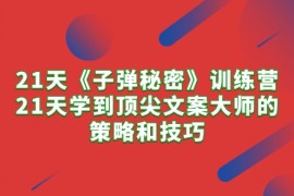 实操文案写作项目，21天《子弹秘密》训练营，21天学到顶尖文案大师的策略和技巧