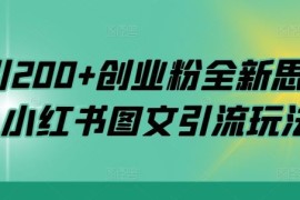 2024最新日引200+创业粉全新思路，小红书图文引流玩法【揭秘】10-14冒泡网