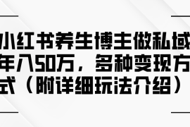 热门项目（12619期）小红书养生博主做私域年入50万，多种变现方式（附详细玩法介绍）09-16中创网