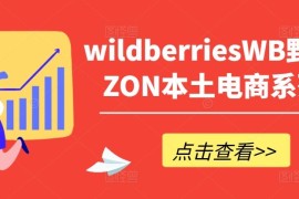 简单项目wildberriesWB野莓/OZON本土电商系列课，掌握WB产品优化，出单技巧和订单处理等09-03冒泡网