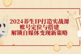 养生IP打造实战课，账号定位与搭建，解锁自媒体变现新策略联盟抖音号运营