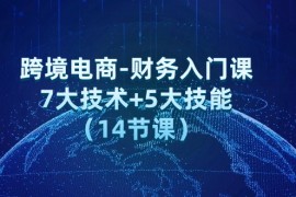 热门项目（12047期）跨境电商-财务入门课：7大技术+5大技能（14节课）便宜08月08日中创网VIP项目