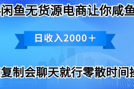 实操无货源项目，2024闲鱼卖打印机，月入3万2024最新玩法