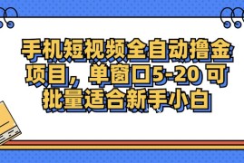 创业项目（12898期）手机短视频掘金项目，单窗口单平台5-20可批量适合新手小白10-10中创网