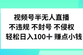 2024最新视频号半无人直播，不违规不封号，轻松日入100+【揭秘】08-12冒泡网