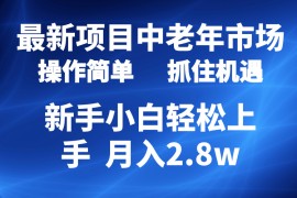 实战热门给力项目项目， 2024最新项目，中老年市场，起号简单，7条作品涨粉4000+，单月变现2.8w