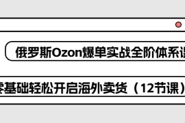 热门跨境电商项目，俄罗斯 Ozon-爆单实战全阶体系课，零基础轻松开启海外卖货