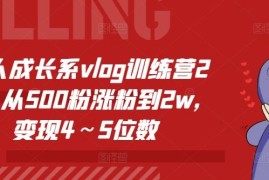 2024最新个人成长系vlog训练营2期，从500粉涨粉到2w，变现4～5位数便宜07月10日冒泡网VIP项目