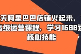 2024最新90天阿里巴巴店铺火起来，1688高级运营课程，学习1688运营核心技能08-17冒泡网