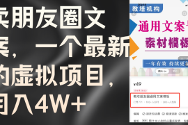 每天（11886期）卖朋友圈文案，一个最新的虚拟项目，月入4W+（教程+素材）便宜08月01日中创网VIP项目