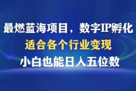 简单项目（12941期）最燃蓝海项目数字IP孵化适合各个行业变现小白也能日入5位数10-12中创网