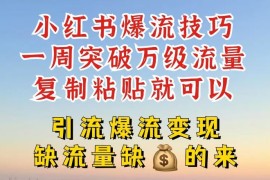 2024最新小红书爆流技巧，一周突破万级流量，复制粘贴就可以，引流爆流变现【揭秘】便宜07月14日冒泡网VIP项目