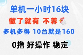 热门项目（11689期）0撸一台手机一小时16元可多台同时操作10台就是一小时160元不养鸡便宜07月19日中创网VIP项目