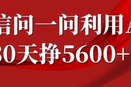 2024最新微信问一问分成，复制粘贴，单号一个月5600+11-11冒泡网