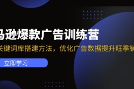 创业项目（11858期）亚马逊爆款广告训练营：掌握关键词库搭建方法，优化广告数据提升旺季销量便宜07月29日中创网VIP项目