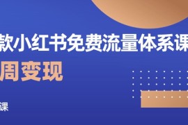 实战小红书项目，爆款小红书免费流量体系课程，两周变现