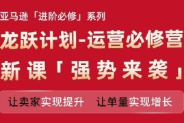 每天亚马逊进阶必修系列，龙跃计划-运营必修营新课，让卖家实现提升让单量实现增长便宜07月15日冒泡网VIP项目