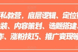 2024最新小红书私教营，底层逻辑、定位赛道、账号包装、内容策划、选题搭建、爆款创作、涨粉技巧、推广变现等等便宜07月15日冒泡网VIP项目