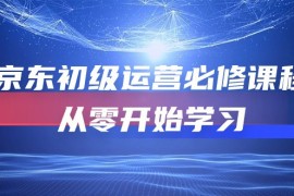 热门热门给力项目项目，京东初级运营必修课程，从零开始学习