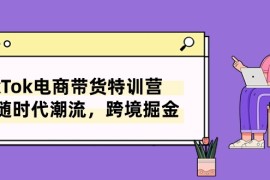 赚钱跨境电商项目，TikTok电商带货特训营，跟随时代潮流，跨境掘金