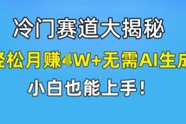 热门项目冷门赛道大揭秘，轻松月赚1W+无需AI生成，小白也能上手【揭秘】便宜07月20日冒泡网VIP项目