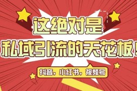 创业项目最新首发全平台引流玩法，公域引流私域玩法，轻松获客500+，附引流脚本，克隆截流自热玩法【揭秘】11-14冒泡网