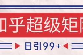 知乎超级矩阵玩法引流高质量精准粉SEO覆盖，日变现1k+【揭秘】