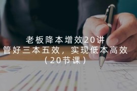 （11238期）老板 降本增效20讲，管好 三本五效，实现低本高效（20节课），06月24日中创网VIP项目