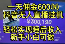 热门项目2024年11月抖音无人直播带货挂JI，小白的梦想之路，全天24小时收益不间断实现真正管道收益【揭秘】11-07冒泡网