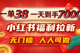 实战（12741期）一单38，一天到手7000+，小红书福利拉新，0门槛人人可做09-26中创网