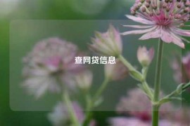 查网贷信息