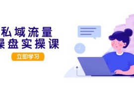 实战（13249期）私域流量操盘实操课，从用户调研到成交变现，打造可落地的私域引流策略11-07中创网