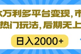 实操短视频运营项目，一本万利多平台变现，市面所有热门玩法，日入2000+，后期无上限！