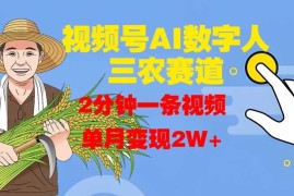 每天视频号AI数字人玩转三农赛道，2分钟一条视频，单月变现2W+10-28冒泡网