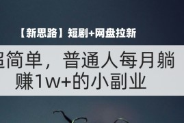 每日（11980期）【新思路】短剧+网盘拉新，超简单，普通人每月躺赚1w+的小副业便宜08月04日中创网VIP项目