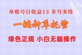 很火热门给力项目项目，一键种草托管 单账号日收益13元  10个账号一天130  绿色稳定 可无限推广